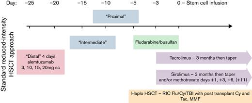 Allogeneic HSCT strategy for adult HLH with RIC and incorporation of early (“distal”) administration of alemtuzumab. GVHD prophylaxis comprised calcineurin inhibitor (tacrolimus) along with methotrexate or sirolimus for HLA-matched donors and posttransplant cyclophosphamide along with tacrolimus and mycophenolate mofetil for haploidentical donors. Alemtuzumab was administered at a median of 25 days before stem cell infusion.