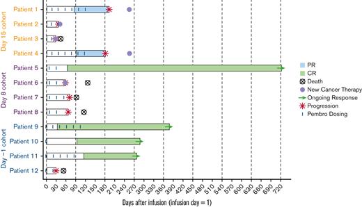 Swimmer plot analysis of response for all patients. Pembro, pembrolizumab.