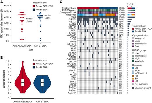 Baseline mutational features of study cohort. (A) Dot plot showing the IDH2 variant allele frequency in each treatment arm. (B) Violin plot showing the frequency of genes mutated per patient in each treatment arm. (C) Complex heatmap of the entire cohort; each column represents a patient. Treatment arm, IPSS-R risk group, cytogenetic risk group, indicated mutations, and response are shown for each patient. Shown to the right of the plot are the percentage of patients in each labeled row. AZA, azacitidine; ENA, enasidenib; NR, not reported; SD, stable disease.