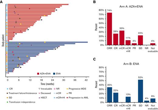 Swim plot and response outcomes of the study population by treatment arm. (A) Swim plot showing individual patient, treatment duration, response, and patient disposition. (B) Proportion of responses in arm A (ENA + AZA). (C) Proportion of responses in arm B (ENA). AZA, azacitidine; ENA, enasidenib; SD, stable disease.