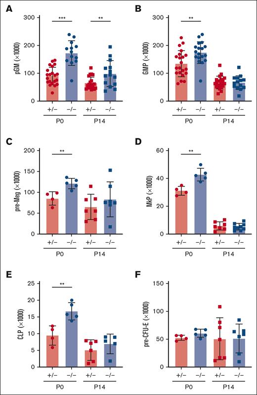 Ifnar1 deletion leads to expansion of phenotypic committed myeloid and lymphoid progenitor populations in neonates and juveniles. (A-F) Absolute numbers of committed myeloid (A,B), megakaryocyte (C,D), lymphoid (E), and erythroid (F) progenitors in P0 liver or P14 bone marrow from mice of Ifnar1+/− and Ifnar1–/–-mice. For panels A and B, n = 13 to 21. For panels C-F, n = 4 to 7. For all panels, error bars reflect standard deviation. Surface marker phenotypes are specified in supplemental Table 2, and gating strategies are shown in supplemental Figure 2. ∗∗P < .01; ∗∗∗P < .001 using two-tailed t test.