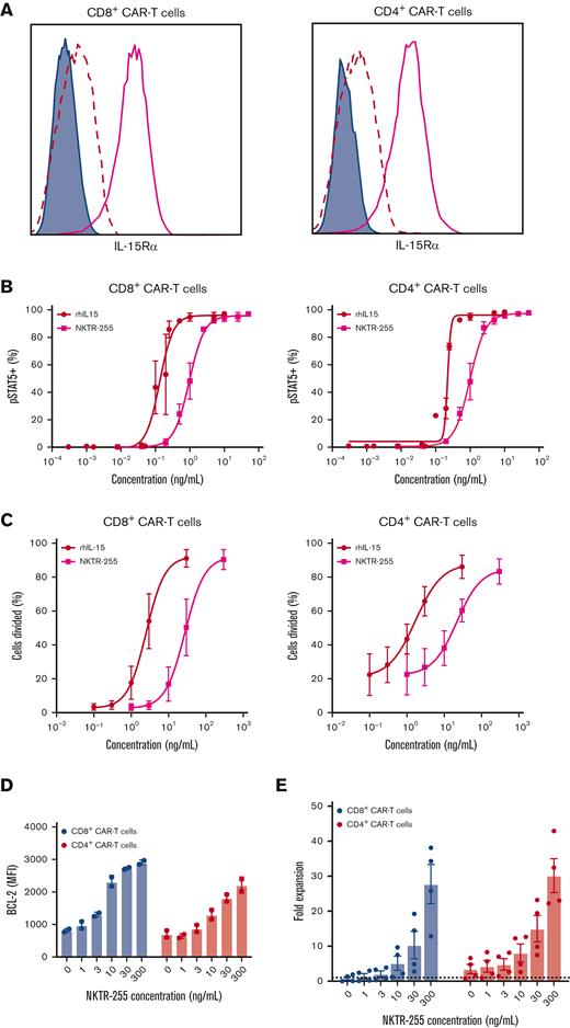Human CD19 CAR T cells exhibit a dose-dependent response to NKTR-255. Human CD19 CAR T cells were generated from healthy donors (n = 2-4) and assayed on days 14 to 16 after the start of manufacturing. (A) Representative surface expression of IL-15Rα (bold pink line) by flow cytometry on CD8+ (left) and CD4+ (right) CAR T cells. Filled histograms depict FMO and dashed lines represent isotype control. (B) CD8+ (left) and CD4+ (right) CAR T cells were incubated with the indicated concentrations of rhIL-15 or NKTR-255 for 20 minutes and phosphorylation of STAT5 was measured by flow cytometry. (C) CD8+ (left) and CD4+ (right) CAR T cells were labeled with carboxyfluorescein succinimidyl ester (CFSE) and incubated with the indicated concentrations of rhIL-15 or NKTR-255 for 4 days. The percentage of divided cells was determined by CFSE dilution using flow cytometry. (D-E) CD8+ and CD4+ CAR T cells were incubated with the indicated concentrations of NKTR-255 for 4 days. (D) BCL-2 expression (mean fluorescence intensity) was measured using intracellular flow cytometry. (E) Fold expansion was determined by the fold change in absolute cell counts from days 0 to 4 by flow cytometry using counting beads. (B-E) Figures show the mean ± SEM. MFI, mean fluorescence intensity.