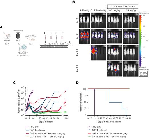 NKTR-255 increases the antitumor efficacy of human CD19 CAR T cells in vivo in a dose-dependent manner. NSG mice were injected IV with 5 × 105 Raji cells. Seven days later, tumor-bearing mice received 0.8 × 106 CD19 CAR T cells (1:1, CD8+:CD4+) IV. Cohorts of mice (n = 3-4 per group) received either PBS, NKTR-255 at 0.03 mg/kg, or NKTR-255 at 0.3 mg/kg IV starting on day 6 after CAR T-cell infusion followed by weekly doses from day 14. One control group received PBS without CAR T cells. (A) Schematic of the experimental setup. (B) Bioluminescence imaging of the Raji tumor burden at the indicated time points. (C) Average tumor radiance. (D) Kaplan-Meier survival curve. Max, maximum; Min, minimum.