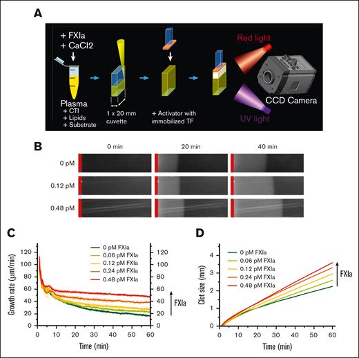 Thrombogenicity of TAE-implicated batches may be caused by an increase in the spatial clot-growth rate. (A) Clot growth was studied using a video-microscopy-based instrument, as shown in the schematic diagram. Recalcified plasma was placed in a microchamber and brought into contact with a TF-coated activator. (B) Images of growing clots in healthy plasma supplemented with the indicated concentrations of FXIa at 0, 20, and 40 minutes. The TF-coated activator is indicated by the red vertical line. Shown representative of 2--4 repeats. (C) Clot-growth rate over time periods at the indicated FXIa concentration. Shown representative of 2--4 repeats. (D) Clot size over time periods at the indicated FXIa concentration. The vertical arrow indicates increasing concentrations of FXIa. Shown representative of 2--4 repeats.