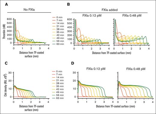Typical profiles of thrombin activity (FIIa) and clot density. (A-B) Thrombin concentration inside of the clot at the indicated time points (A) without added FXIa or (B) with 0.12 or 0.48 pM of FXIa. (C-D) Clot density profiles at the indicated time points (C) without added FXIa or (D) with 0.12 or 0.48 pM of FXIa. Profiles are shown for the experiments presented in Figure 1 (representative of 2--4 repeats).
