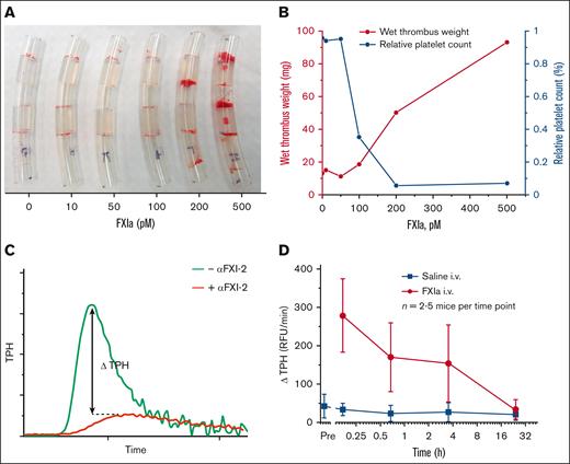 FXIa promotes clot formation in circulating whole bovine blood and TG after intravenous injection in mice. (A) Images of blood clots formed in circulating whole bovine blood spiked with (from left to right) 0, 10, 50, 100, 200, and 500 pM human FXIa. Shown representative of 2 repeats. (B) The weight of thrombi (from panel A) increased in an FXIa concentration-dependent manner, whereas the concentration of platelets in the remaining liquid blood (after 30 min of circulation) decreased (raw data are provided in supplemental Table 1). Shown representative of 2 repeats. (C) Schematic depiction of the approach used to characterize the effect of FXIa on TG by calculating ΔTPH between ex vivo TG experiments with and without the anti-FXI antibody (αFXI-2). (D) TG assay-based pharmacokinetics of intravenously administered human FXIa in mice. Blood from ∼2 to 5 mice was collected at the indicated time points and tested using the TG assay, as indicated in panel C. Mean ± S.D is shown. TPH, thrombin peak height; ΔTPH, change in TPH; i.v., intravenously.