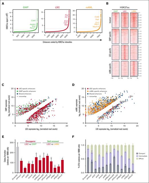 LSC enhancers characterize cell identity and are functionally important for maintaining LSC oncogenic potential. (A) Ranked enhancer plots defined across composite H3K27ac landscapes of GMP, LSC, and mAMLs. Superenhancer clusters are shown to the right of the gray line. (B) Heatmap of H3K27ac counts across cell-specific and invariant enhancers. Each row represents a 2 kb window centered around the middle of top 600 GMP-specific, LSC-specific, mAML-specific, and invariant enhancers for H3K27ac. All reads were aligned to mm9. (C) Mean normalized LSC expression (x-axis) vs mean normalized GMP expression (y-axis) for genes associated with LSC-specific enhancers (red) or with GMP-specific enhancers (green). (D) Mean normalized LSC expression (x-axis) vs mean normalized mAML (y-axis) expression for genes associated with LSC-specific enhancers (red) or with mAML-specific enhancers (orange). (E,F) Colony formation assay at day 5 in LSCs infected with shRNAs targeting oncogenic and self-renewal genes. The number (E) and morphology (F) of CFUs for oncogenes and self-renewal genes shRNA-infected colonies is significantly different from the number and morphology of CFUs for controls (n = 3; mean ± SD). ∗P < .05; ∗∗P < .01. CFU, colony-forming units; SD, standard deviation.