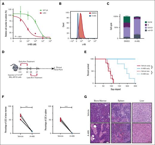 P300 inhibition blocks progression of AML. (A) Dose dependent effect of A-485 inhibitor on LSCs and WT LK cells proliferation. Cells were exposed to the indicated concentrations of A-485 for 48 h (n = 3; mean ± SD). (B) Surface expression of c-Kit in LSCs with A-485 (500 nM) treatment for 48 hours. (C) Cell-cycle profile in LSCs with A-485 (500 nM) treatment for 48 hours. (n = 3; mean ± SD). (D) Schematic representation of the treatment protocol. Four mice groups (5 or 6 mice per group) were treated with either vehicle or A-485 from days 3 to 22 (early-arm) and days 28 to 47 (late-arm) with 100 mg/kg once daily after LSCs transplantation. (E) Kaplan-Meier plot of A-485- and vehicle-treated mice (n = 5 or 6). P value was generated using Mantel-Cox log-rank test. (F) Leukemia burden (number of c-Kit+ cells) in the bone marrow and spleen of vehicle- and A-485–treated mice euthanized at matched time points. Data are representative of 3 biological replicates and error bars represent SD of the mean. (G) Histological analysis of H&E-stained sections of the bone marrow, spleen, and liver from a representative vehicle-treated mouse and an age-matched A-485–treated mouse. Scale bar, 100 μm.∗∗P < .01; ∗∗∗P < .001; ∗∗∗∗P < .0001. H&E, hematoxylin and eosin; LK, Lin-c-Kit+; WT, wild-type.