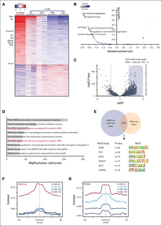 A-485 drives gene expression changes through remodeling enhancer landscape in LSC. (A) Heatmap of expression changes of the genes obtained from LSC treated with A-485 (500 nM). Selected LSC enhancer–associated genes are labeled. (B) Gene ontology analysis of gene expression changes in LSC cells treated with A-485. (C) Volcano plots of differential H3K27ac peaks in LSC treated with DMSO and A-485, revealing 3010 differential peaks for H3K27ac in A-485-treated vs DMSO-treated LSCs. (D) Top enriched GO terms for significantly downregulated H3K27ac peaks in LSC treated with A-485 determined by querying the Molecular Signatures Database (MSigDB) Perturbation genesets. (E) Motif analysis of downregulated H3K27ac ChIP-seq peaks that overlap with downregulated genes. (F,G) Aggregation plots showing average ChIP-seq signals for H3K27ac and EP300 marks in LSC treated with A-485 for various times at enhancer regions. Plots are peak-centered and scaled at ±3 kb for each locus.DMSO, dimethyl sulfoxide.