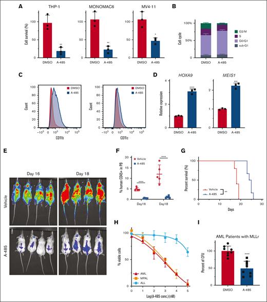 A-485 has a robust antileukemic effect on primary AML cells. (A) The effect of A-485 on the growth of human MLLr AML cell lines. Cell lines were exposed to A-485 at 1 μM for 48 hours (n = 3; mean ± SD). (B) Cell-cycle profile in THP-1 with A-485 (1uM) treatment for 48 hours (n = 3; mean ± SD). (C) Surface expression of CD11b and CD11c in THP-1 cells with A-485 (1 μM) treatment for 48 hours. (D) HOXA9 and MEIS1 expression in THP-1 cells treated with A-485 (1 μM) treatment for 48 hours (n = 3; mean ± SD). (E) Representative bioluminescent imaging of NSG recipient mice that underwent transplantation with THP-1 cells at indicated A-485 treatment time. (F) Frequencies of leukemia cells (hCD45+) in the peripheral blood. (n = 5; mean ± SD). (G) Kaplan-Meier plot of A-485– and vehicle-treated mice that underwent transplantation with THP-1 cells. P value was generated using Mantel-Cox log-rank test. (H) Dose dependent effect of A-485 inhibitor on CRISPR-engineered acute leukemias bearing MLL-AF9 translocation. Cells were exposed to the indicated concentrations of A-485 for 48 hours (n = 3; mean ± SD). (I) Clonogenic assays with primary MLLr AML cells from patients treated with A-485. (n = 8; mean ± SD). ∗P < .05; ∗∗P < .01; ∗∗∗P < .001; ∗∗∗∗P < .0001.