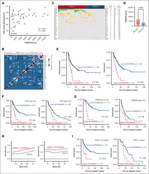 Distinct clinical and biological characteristics of patients with MDS with higher bone marrow plasma S100A8/A9. (A) Scatter plots shows a moderate correlation between ASXL1 VAF and S100A8/A9 levels. (B) Heatmap of correlations among mutations. (C) Clustering 51 ASXL1-mutated patients based on concurrent mutations of STAG2, RUNX1, EZH2, and ZRSR2. (D) Cluster 1 had a trend of higher S100A8/A9 levels than cluster 2. (E) Higher S100A8/A9 conferred inferior LFS and OS of the 215 patients with MDS. (F) Higher S100A8/A9 conferred significantly worse OS in ICC lower-risk group and higher-risk group. Higher-risk: MDS with excess blast and MDS/AML; and lower-risk: others. (G) Higher S100A8/A9 conferred significantly shorter OS in IPSS-R lower-risk (very low, low, and intermediate) group and a trend of worse OS in IPSS-R higher-risk (IPSS-R high and very high) group. (H) Time-dependent ROC curve analyses demonstrate that S100A8/A9 levels can be complementary to IPSS-R, increasing area under curves when incorporated. (I) Patients with higher S100A8/A9 had significantly inferior OS irrespective of their ASXL1 mutation statuses. ROC, receiver operating characteristic.