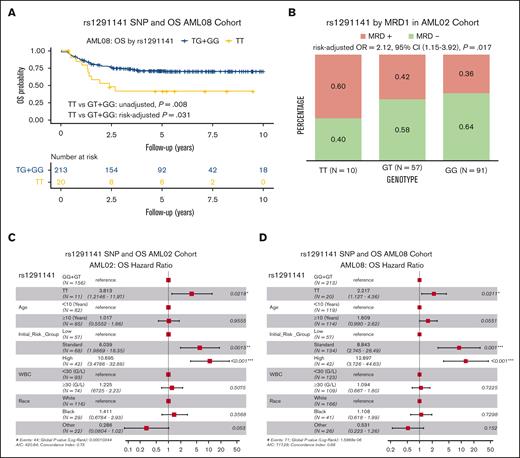 Association of rs1291141 with clinical outcome. Kaplan-Meier overall survival curve in AML08 (A). Association with MRD1 in AML02 (B). Forest plots of multivariable Cox proportional hazard models that include age, risk-group assignment, WBC, and race for OS in patients treated on AML02 (C) and AML08 (D).