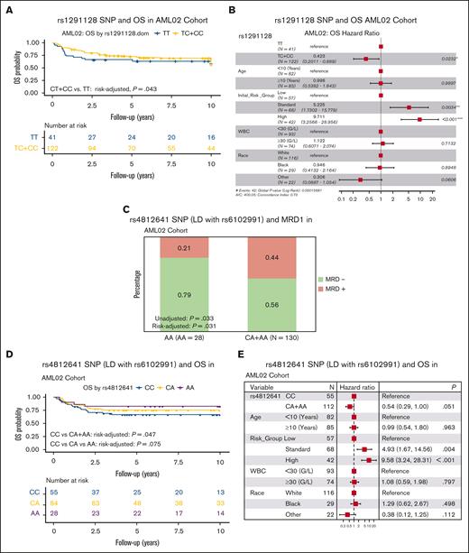 Association of rs1291128 and rs4812641 with clinical outcome. Kaplan-Meier survival plot for rs1291128 with OS in AML02 (A) and multivariable forest plot for OS in patients treated on AML02 (B). Association of rs4812641 with MRD1 (C), OS (D) and the corresponding multivariable forest plot (E) in AML02. Forest plots are of multivariable Cox proportional hazard models that includes age, risk-group assignment, WBC, and race.