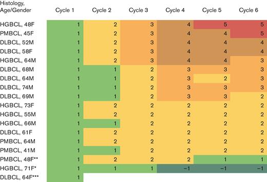 Heat map displaying each patient by histology, age, and gender with each column displaying the chemotherapy dose level achieved by cycle. ∗ indicates that patient had a platelet nadir <25 000 cells per μL requiring dose reduction to DL1. ∗∗ indicates that patient had a grade 3 colonic perforation in the setting of diverticulitis requiring interruption of chemotherapy for surgery. The subsequent cycle was delayed 12 days and dose level decreased to DL1 as discretion of investigator while maintaining the standard Pola dose. ∗∗∗ indicates that patient died of sepsis during cycle 1. F, female; M, male.