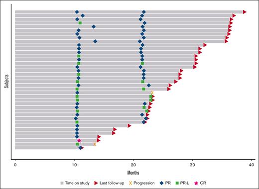 Swimmer plot: bars represent each study patient’s time on treatment through time of last follow-up (triangle) or progression (x). Response to therapy was assessed at cycle 12 and 24 (diamonds represent partial responses, squares partial response with lymphocytosis, and stars CRs).