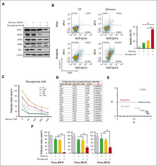 Pharmacological blockage of protein translation sensitizes resistant MM cells to selinexor. (A) U266 cells were treated with selinexor (200 nM, unless otherwise indicated) and/or rocaglamide (50 nM) for 24 hours. The protein expression level of XPO-1, IKZF1, PARP, eIF4E, and Bax were detected via WB, using β-actin as a loading control. The immunoblot is representative of 3 independent experiments. (B) U266 cells were treated with the combination of rocaglamide and selinexor at indicated doses for 4 days. Cell apoptosis was detected using flow cytometry, example dot plots (left) and quantification of replicates (right) for ∗∗P < .01. (C) Cell proliferation was assessed and the combination of rocaglamide and selinexor at indicated doses for 4 days. (D) The CI value was analyzed using CompuSyn software. (E) Dot plot of the combined action of selinexor and rocaglamide. (F) Primary MM cells were cocultured with bone marrow stromal cells and treated with rocaglamide (25 nM) and/or selinexor (50 nM) for 2 days. Cell viability was analyzed using MTS assay. ∗P < .05.