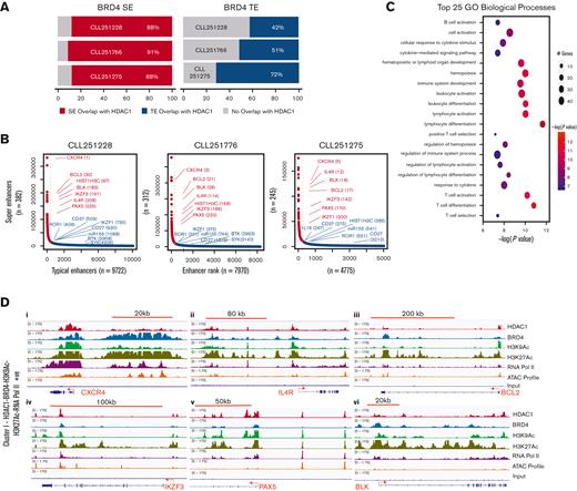 HDAC1 is recruited at BRD4 dense enhancers in CLL. (A) BRD4 and H3K27Ac tag intensity and signal was used to quantitate the association of BRD4 at enhancers (SEs and TEs) and shows that 382 (CLL251228), 312 (CLL2501776), and 245 (CLL250275) genes were loaded with BRD4-dense marks at SEs. HDAC tag intensity and signal determine was used to determine the association of HDAC1 at BRD-linked enhancers and shows that HDAC was strongly recruited at 335 (88%) (CLL251228), 284 (91%) (CLL2501776), and 215 (88%) (CLL250275) (in red) of the BRD4-dense SEs. Similarly, HDAC1 was corecruited at 3423 (71% - CLL250228), 4096 (51% - CLL250776), and 4110 (42% - CLL 250275) (in blue) out of a total of 4775 (CLL251228), 7970 (CLL251776), and 9772 (CLL251275) genes that had BRD4 associated with TEs. (B) ROSE analysis was performed using the BRD4 load and intensity at H3K27Ac-marked enhancers. The plots represent the top BRD4 loaded enhancers that also recruited dense HDAC loads in 3 representative CLL samples. HDAC1-bound, BRD4-dense SEs (marked in red) are listed in decreasing order of enhancer rank. Selected genes bound by HDACs with BRD4 at TEs are marked in blue. SE and TE identification for all samples are listed in supplemental Table 4. (C) TOPPGene Suite was used to derive functional annotations of the top biological processes associated with HDAC1 bound at BRD-SEs. Top 25 pathways (based on z-scores) associated with the genes are shown and color coded based on specificity from orange to blue, whereas the size reflects the number of genes that make up the category. (D) Overlay of HDAC1, BRD4, H3K9Ac, H3K27Ac, ATAC-seq profiles, and RNA Pol II densities at selected top genes from CLL251228 showing HDAC1 loads at BRD4 dense SEs in cluster I (i-vi) CXCR4, IL4R, BCL2, IKZF3, PAX5, and BLK from CLL251228. Each track is representative of the ChIP-seq binding densities for specified genes from 3 independent samples from patients with CLL (CLL251228, CLL251776, and CLL251275). The x-axis of each track shows genomic position, and the y-axis shows the intensity of the ChIP signal (rpm/bp). ROSE, rank ordering of super-enhancers.