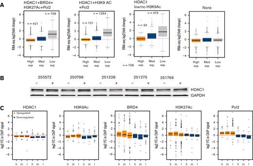 HDAC inhibition induces specific changes in the regulatory chromatin resulting in wide-spread changes in the transcriptome of CLL. (A) RNA seq was conducted in 10 CLL samples exposed to 0.4 μM abexinostat for 24 hours. Transcripts from cluster 1(HDAC1-BRD4-H3K27Ac-H3K9Ac-Pol2), cluster II (HDAC1-H3K9Ac-Pol2, or cluster III (HDAC only) or those with no marks were divided into high, intermediate, and low expressors. The y-axis shows the fold change (log2, with an FDR of 0.05) in counts of high-, medium-, and low-expressed transcripts after HDAC inhibition from cluster 1(HDAC1-BRD4-H3K27Ac-H3K9Ac-Pol2), cluster II (HDAC1-H3K9Ac-Pol2), or cluster III (HDAC only). Among high expressors, only genes from cluster I were downregulated, whereas intermediate expressors from cluster II and low expressors from cluster I to III were upregulated. Intermediate (∼20) and low expressors (∼55%) with no marks did not change expression after HDAC inhibition. (B) Expression of HDAC1 protein in 5 CLL samples after exposure to 0.4 μM abexinostat for 24 hours. GAPDH assayed as loading control. (C) The y-axis shows log2-fold changes in the occupancy of HDAC1, H3K9Ac, BRD4, H3K27Ac, and RNA Pol 2 near genes with high, intermediate, or low expression that became upregulated or downregulated twofold or more after HDAC inhibition. GAPDH, glyceraldehyde-3-phosphate dehydrogenase.