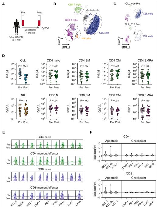Composition of T and NK cells immune cell types in patients with CLL remains unchanged after short-term venetoclax treatment. (A) Schematic representation of the CLL study. PB samples from 19 patients with CLL were collected before (pre) and after (post) 1 month of venetoclax treatment and analyzed by CyTOF. (B) UMAP projections of PB cells, colored by FlowSOM clusters with key immune cell types annotated. (C) UMAP of PB cells from patient CLL_028 pre- and postvenetoclax treatment. (D) Concentrations of CLL, NK, and T-cell subsets. (E) Mean expression of survival and checkpoint proteins expressed as a ratio of postvenetoclax:prevenetoclax treatment in CD4+ and CD8+ T cells. Each symbol represents an individual patient; paired t test; ∗P < .05, ∗∗P < .01. (F) Representative histograms of BCL-2, BCL-XL, MCL-1, CTLA-4, PD-1, TIM3, PD-L1, CD27, and OX40 protein pre- and postvenetoclax treatment in CD4 naïve (N) (CD45RAhighCD27high), EM CD4, CD8 naïve (CD45RAhighCD27high), and EM CD8 cells from patient CLL_025. CM, central memory.