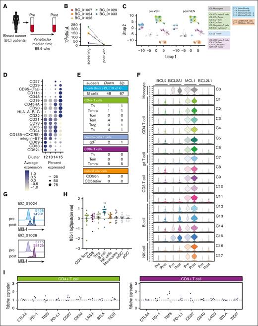Deep profiling of circulating lymphocytes cells in patients with breast cancer after long-term venetoclax treatment reveals limited changes in T-cell subsets. (A) Schematic representation of immunophenotyping of the patients with breast cancer who received long-term venetoclax (VEN) treatment. Blood was collected from patients with breast cancer before (pre) and after (post) venetoclax treatment (median treatment, 88.6 weeks; range, 8.8-204.2 weeks). Pre- and posttreatment cells from each patient were analyzed by CITE-seq (n = 5 pairs). (B) Concentrations of B cells from the 5 samples selected for CITE-seq. (C) UMAP and annotation of circulating immune cells from 5 patients with breast cancer on long-term venetoclax treatment analyzed by CITE-seq. (D) Dot plots showing a curated list of key cell-surface makers expressed in naïve (cluster 12), transitional (cluster 13), and memory (clusters 14 and 15) B-cell subsets. Color intensity reflects relative level of protein expression and the size of the dot indicates the fraction of cells expressing that protein in that cluster. (E) Table of the numbers of DEGs (false discovery rate < 0.05) found by pseudobulk DEG analysis (postvenetoclax:prevenetoclax). (F) Violin plots of BCL-2 survival gene transcription from pseudobulk analysis of all clusters. (G) Intracellular protein expression of MCL-1 measured by flow cytometry in B cells from patients BC_01024 and BC_01028. (H) Changes in MCL-1 protein expression measured in immune cell populations expressed as log2 changes in post- vs pretreatment measured by flow cytometry. (I) The expression ratio of checkpoint genes on CD4+ and CD8+ T cells, calculated by mean (postvenetoclax)/mean (prevenetoclax) measured by CITE-seq. In graphs in panel H, each symbol represents an individual patient, bar is at the mean, and error bars represent standard error of the mean. mDC, myeloid dendritic cell; pDC, plasmacytoid dendritic cell; Tcon, concentration of T cell; Treg, regulatory T cell.