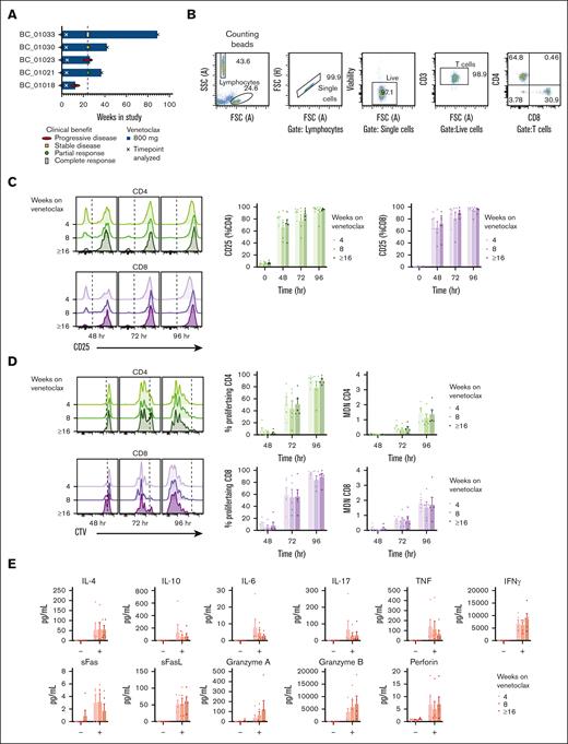 Venetoclax treatment does not alter T cell proliferation or effector function. (A) Schematic of the time points analyzed, early clinical benefit, and dose of venetoclax for each patient with breast cancer. Measurements were made at pre- (cycle 1) and post- (cycles 2 and/or 4-23); each cycle is 28 days. (B) Flow cytometry gating strategy to identify T-cell populations: lymphocytes, single cells, propidium iodide–negative live cells, CD3+ T cells, and either CD4+ or CD8+ cells. (C) Representative histograms showing expression of CD25 by CD4+ or CD8+ T cells from 1 patient during venetoclax treatment after incubation with anti-CD3/CD28 beads for 48, 72, or 96 hours. Graphs summarize CD25 expression by CD4+ or CD8+ T cells in patients during venetoclax treatment cycles. (D) Representative histograms showing cell trace violet (CTV) staining of CD4+ or CD8+ T cells from 1 patient during venetoclax treatment cycles after incubation with anti-CD3/CD28 beads for 48, 72, or 96 hours. Graphs show the percentage of proliferating cells (having undergone ≥1 division) in CD4+ or CD8+ T cells in patients at different venetoclax treatment cycles (n = 5). (E) Graphs showing the concentration of cytokines and cytotoxic molecules measured using the LEGENDplex CD8/NK panel produced by total T cells after 48 hours of culture with anti-CD3/CD28 beads for patients during venetoclax treatment cycles. In graphs in panels C-E, each symbol represents an individual patient, bar is at the mean, and error bars represent standard error of the mean. IFNγ, interferon gamma; IL-4, interleukin 4; NS, no stimulation; SSC, side scatter; TNF, tumor necrosis factor.
