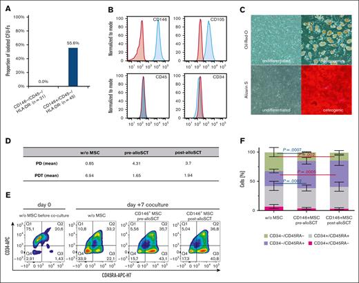 Pre- and post-alloSCT CD146+MSC harbor the entire CFU-F capacity and similarly support the progenitor phenotype in hematopoietic cells. (A) Frequency of CFU-F in the CD146+ and CD146- subpopulation of the CD45-/HLA-DR- fraction of BM-MNC. (B-C) Post-alloSCT–derived CD146+CD45-HLA-DR- cells were expanded and analyzed for their surface antigen expression (B) by flow cytometry (a representative sample shown) and for their differentiation potential (C) through culture in growth medium (undifferentiated) or specific osteogenic and adipogenic differentiation media (representative sample, staining with alizarin pH4 and oil red for calcium deposition and lipid droplets, light microscopy, phase contrast, original magnification ×100). (D-E) CD146+MSC derived pre- and post-alloSCT (paired patient samples) were directly cocultured with CB CD34+ cells and proliferation (D) through cell counting (n = 3) as well as expression of CD34 and CD45RA (E) by flow cytometry (representative sample) was determined in separated (CD105-) hematopoietic cells at day 7 of coculture compared with culture without MSC. (F) Frequencies of hematopoietic subpopulations according to their expression of CD34 and CD45RA from the cocultures (paired patient samples, n = 3) described in (D) and (E) given as mean percentage of cells.