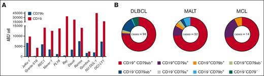 CD79ab is expressed on lymphoma cell lines and primary tumor specimens. (A) CD19 and CD79b density on each indicated tumor cell line measured via ABC. (B) Expression of CD19, CD79a, and CD79b measured by IHC on primary lymphoma specimens. ABC, antibody-binding capacity; Burkitt’s, Burkitt’s lymphoma; FL, follicular lymphoma; MALT, lymphoma of the mucosa-associated lymphoid tissue.