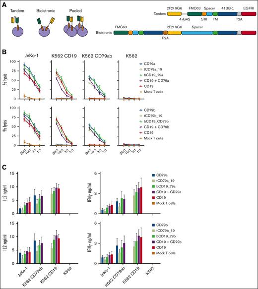 Design and in vitro characterization of bispecific CARs. (A) Schematics of bispecific CAR T-cell formats. (B) Top panels: lysis of the indicated tumor cell lines by CD19, CD79a, and bispecific CD79a-CD19 CAR T cells. tCD79a-CD19 refers to tandem CAR; bCD19-CD79a refers to bicistronic CAR. Bottom panel: lysis of the indicated tumor cell lines by CD19, CD79b, and bispecific CD79b-CD19 CAR T cells. tCD79b-CD19 refers to tandem CAR; bCD19-CD7b refers to bicistronic CAR. (C) CAR T-cell IL-2 and IFN-γ production measured by ELISA. Data given in (A-B) are means ± SEM from 3 independent experiments. ELISA, enzyme-linked immunosorbent assay; SEM, standard error of the mean.