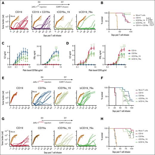 Treatment of mice engrafted with wild-type JeKo-1 and single antigen expressing JeKo-1 with tandem, bicistronic, and monospecific CD79a and CD19 CAR T cells. (A-B) Cohorts of JeKo-1 tumor bearing NSG mice were treated with 0.6 × 106 of mock-transduced T cells, CD19, tandem CD79a-19, bicistronic CD19-79a, or CD19 + CD79a CAR T cells (CD4:CD8 at 1:1 ratio). Data were pooled from 2 independent experiments consisting of a total of 6 to 12 mice per group. (A) Bioluminescent imaging of tumor bearing mice at indicated time points. Each line represents measurements in a single mouse. (B) Survival of mice in each treatment group. (C-D) IL-2 and IFN-γ production measured by ELISA of supernatants harvested 20 hours after coculture of CAR T cells on plate-bound CD79ab-Fc or (D) plate-bound CD19. Data given are means ± SEM from 3 independent experiments done with different donors. (E-F) Cohorts of NSG mice engrafted with JeKo-1CD19− or JeKo-1CD79− were either treated with 0.6 × 106 of mock-transduced T cells, CD19, CD79a, tandem CD79a-19, or bicistronic CD19-79a CAR T cells (CD4:CD8 at 1:1 ratio). (E) Bioluminescent imaging of tumor bearing mice at indicated time points. Each line represents measurements in a single mouse. (F) Survival of mice in each treatment group. Data were pooled from 2 or 3 experiments with 7, 9, 11, or 12 mice per group. ∗∗∗P ≤ .001, ∗∗P ≤ .01 and ∗P ≤ .05, were calculated with panel B, and panel F Log-rank (Mantel-Cox) test, panels C-D, two-way ANOVA. Asterisks are color matched to the bispecific CAR to reflect the comparison between the indicated bispecific CAR and the monospecific CD79a CAR in panel C or CD19 CAR in panel D.