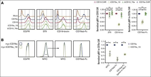 Tandem CAR design has impaired antigen binding compared with the monospecific CARs. (A) CAR expression determined by flow cytometry staining with anti-STII, CD19-biotin, and CD79ab-Fc staining on sorted EGFRt+ T cells. Right panels show quantification of normalized gMFI determined from flow cytometric staining of 5 different donors. Quantification was normalized to the mean obtained by staining monospecific CD19 CAR T cells with anti-STII or CD19-biotin binding. Quantification for CD79ab-Fc binding was normalized to that obtained with the monospecific CD79a CAR. (B) Flow cytometric histograms of indicated CAR T cells gated on EGFRt+ cells, showing anti-MYC or CD79ab-Fc staining. Right panel shows quantification of normalized gMFI flow cytometric staining of 3 different donors. Quantification was normalized to CD79a CAR T cell for anti-MYC or CD79ab-Fc binding for each donor. Indicated P values were with ∗∗∗P < .001, ∗∗P < .01, ∗P <.05 or ns were calculated with one-way ANOVA Tukey multiple comparisons test and panel B paired t test. ns, not significant.