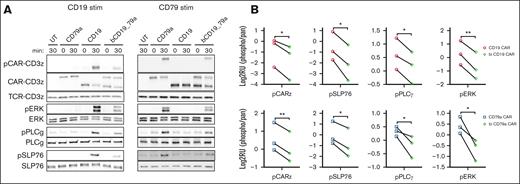 Bicistronic CAR T cells have reduced phosphorylation of CD3ζ and downstream signaling molecules compared with monospecific CAR T cells, after stimulation. (A) Western blots showing levels of phosphorylated and total protein for the indicated analytes from monospecific CD79a, CD19, and bicistronic CD19-79a CAR T cells at baseline (0 minute) and 30 minutes after stimulation by immobilized CD19 or CD79ab recombinant protein. (B) Log2 values of normalized band intensities measured by densitometry from 3 independent experiments. ∗∗P < .01 and ∗P < .05 were calculated with paired two-tailed t test.