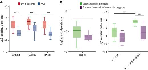 Validation analysis of the transport, vesicle, and endocytosis pathways by multiple-reaction monitoring analysis. (A) Graphic representation obtained by the GraphPad software of the log2 normalized mean areas for all the proteins validated in patients with DHS (red boxes) compared with HCs (blue boxes). (B) Left: expression levels of OSR1 protein in patients with DHS with mutations in the mechanosensing module (green boxes) compared with patients with transduction module/ion-conducting pore mutations (purple boxes). Right: phosphorylation state analysis of OSR1 peptide (from amino acid 185-202) phosphorylated and nonphosphorylated in patients with DHS with mutations in the mechanosensing module (green boxes) compared with patients with transduction module/ion-conducting pore mutations (purple boxes). The representations were obtained by GraphPad software. A 2-way ANOVA test in a multiple comparison way was applied; ∗P ≤ .05; ∗∗P ≤ .01; ∗∗∗P ≤ .001; and ∗∗∗∗P ≤ .0001.