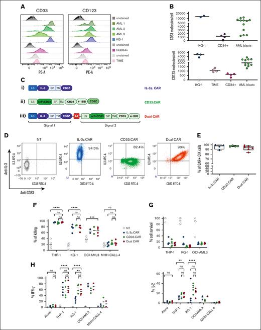 DC CIK cells express both CAR and CCR efficiently and show potent and specific in vitro antileukemic activity against CD123+CD33+ targets. (A) Flow cytometric analysis of CD33 and CD123 expression on AML primary cells, KG-1 cell line, and on normal hCD34+ cells and endothelial TIME cell line. (B) CD33 and CD123 quantification on cell surface. The number of CD33 (n = 2 for KG-1, n = 4 for CD34+, n = 12 for AML blasts) and CD123 (n = 3 for KG-1, n = 5 for TIME, n = 4 for CD34+, n = 12 for AML blasts) molecules on the cell surface was quantified using a BD QuantiBRITE PE fluorescence quantitation kit. (C) DC IL-3z/CD33 vector scheme. Single CARs are included as controls. (i) single IL-3z CAR, (ii) single CD33 CAR with CD28-4-1BB in cis costimulation, and (iii) bicistronic DC IL-3z/CD33 CCR with a self-cleaving 2A peptide. (D) Representative dot plot of IL-3z CAR, CD33 CAR, and DC expression on CIK cells at the end of differentiation. Unmanipulated (NT) CIK cells were used as control. (E) Expression of IL-3 and scFv CD33 on the surface of IL-3z CAR (n = 4), CD33 CAR (n = 4), and DC CIK cells (n = 6) by flow cytometry at the end of differentiation. (F) Short-term (E:T ratio of 5:1; n = 4 in all groups) and (G) long-term (E:T ratio of 1:100; n = 4 in all groups) cytotoxicity and (H) cytokine release against CD123+/CD33+ KG-1, OCI-AML3, and THP-1 AML cell lines (n = 4 in all groups except for OCI-AML3 and MHH-CALL-4, n = 2). CD123−/CD33− CHH-CALL4 B-ALL cell line has been included as control. Summary from 4 independent CAR CIK cell donors is shown in panels F, G, and H. Paired comparisons were performed using the Tukey test and adjusted for multiple comparisons. ns, not significant (P value >.05); ∗∗P value <.01, ∗∗∗P value <.001, ∗∗∗∗P value <.0001. B-ALL, B-cell acute lymphoblastic leukemia; LS, leader sequence; SP, spacer; TM, transmembrane domain.