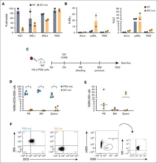 Optimized low affinity Dual CAR CIK cells control AML growth while reducing off-targeted toxicities. (A) Long-term (E:T ratio of 1:10, n = 2 for NT and DC mut) cytotoxicity against CD123+/CD33+ KG-1 cell line, primary AML cells and TIME cell line. Scatted plot (mean ± SD) from two independent CAR-CIK donors is shown. (B) Cytokine release against CD123+/CD33+ primary AML cells and TIME cell line (n = 2 for NT and DC mut). (C) Schematic of the AML patient xenograft mouse model. NSG mice were injected via tail vein on day 0 with 1 × 106 tertiary PDX AML cells. Mice were randomized to 2 treatment groups each receiving one injection of vehicle or gene-modified DC mut CIK cells at day 5 (n = 4 per group). (D) Analysis of hCD45+/CD33+/CD123+ cells in the PB, BM and spleen of untreated and treated mice. (E) Analysis of hCD45+/CD3+ cells in the PB, BM and spleen of Dual CAR-CIK treated mice. (F) Representative dot plot of PB analysis. P-values from the Wilcoxon test are referred to the comparison of DC mut-CIK-treated mice compared with untreated mice within PB, BM and spleen. ∗, p-value < 0.05.