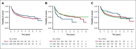 Kaplan-Meier probability of survival. (A) MICA-STR GVH (mis)matching; (B) patient MICB-52 GG (AspAsp), AG (AsnAsp), and AA (AsnAsn); and (C) donor NKG2D-72 GG (AlaAla), AG (ThrAla), and AA (ThrThr).