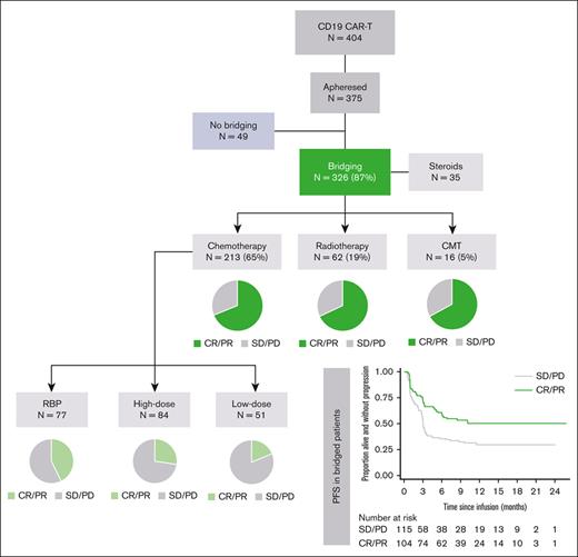 Summary of BT modality, BT response and PFS post-CAR-T in all apheresed LBCL patients.