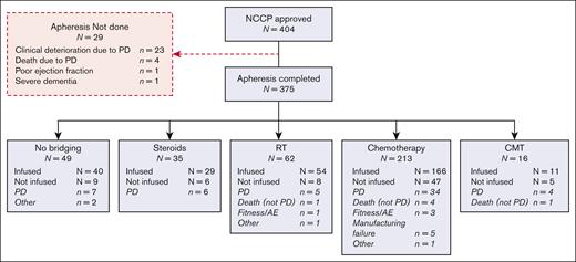 Consort diagram of all approved patients.