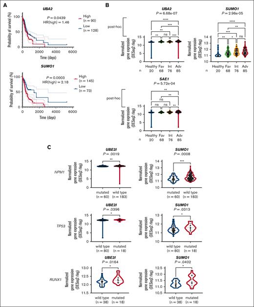 Clinical relevance of SUMOylation pathway in AML. (A) Kaplan-Meier curves with 95% confidence intervals (dotted lines) for overall survival of patients with AML in OHSU, according to the gene expression levels of UBA2 or SUMO1. The division of the high- and low-expression groups was determined by the best risk separation approach. (B) Comparison of UBA2, SUMO1, and SAE1 gene expression across healthy and ELN2017 risk groups. P values are from Jonckheere-Terpstra test. Subsequent post hoc analyses were performed with the two-stage linear step-up procedure, and the significance is indicated for each comparison. The number of participants is indicated for each group. (C) Comparison of UBE2I and SUMO1 gene expression between mutated and wild-type of NPM1, TP53, and RUNX1 genes in OHSU database. P values are from Wilcoxon rank-sum test. For panels B-C, ∗P < .05, ∗∗P < .01, ∗∗∗P < .001, ∗∗∗∗P < .0001. Adv, adverse; Fav, favorable; HR(high), hazard ratio of high expression group; Int, intermediate; ns, not significant.