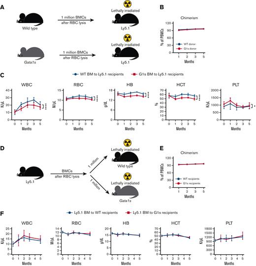 The Gata1s anemia phenotype is transplantable. (A) Schematic of the experimental design of transplantation of Ly5.2 Gata1s BM to irradiated Ly5.1 recipients. (B) PB chimerism in transplant recipients at different time points after transplantation. Mean ± SD are shown. (C) Graphs depict serial white blood cell (WBC) count, RBC count, Hb, and PLT count in transplant recipients over time. (D) Ly5.1 donor BMCs were transplanted into lethally irradiated WT and G1s Ly5.2 recipient mice. Peripheral chimerism (E) and WBC, RBC, Hb, HCT, and PLT (F) were monitored after transplantation. Mean ± SD are shown, N ≥ 5, age = 2 months. ∗P ≤ .05, ∗∗∗∗P ≤ .0001 by 2-way ANOVA.