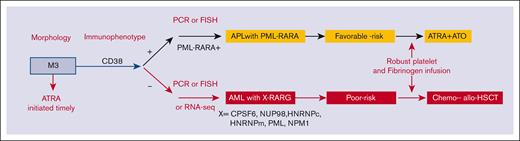 The proposed flowchart for the diagnosis and treatment of patients with AML with RARG rearrangement. FISH, fluorescence in situ hybridization; PCR, polymerase chain reaction.