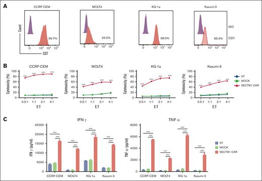 Lysis of CD7+ ALL and AML cells by SECTM1 CAR T cells. (A) CD7 expression in ALL cell lines (CCRF-CEM and MOLT4), and AML cell lines (KG-1a and Kasumi-3) was analyzed by flow cytometry. (B) Tumor cells were cocultured with CAR T cells at various E:T ratios, and cytotoxicity was measured at 20 hours by flow cytometry. (C) Cytokines released into the coculture supernatant described in panel B of an E:T ratio of 2:1 was detected by ELISA. Left, the IFNγ level; right, the TNFα level. Data in panels B and C are presented as the mean ± SD of triplicates.