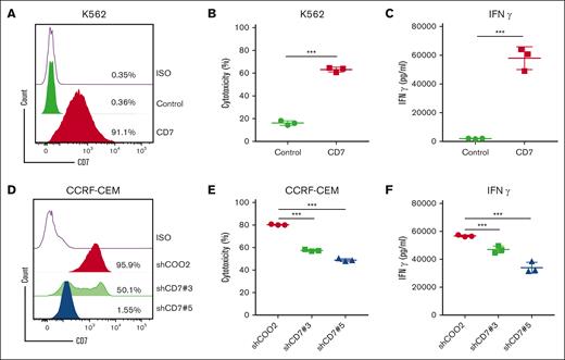 SECTM1 CAR T cells lysed tumor cells in a CD7-dependent manner. (A) CD7 expression of K562 CD7 and control cells were detected by flow cytometry. (B) The cytotoxicity of SECTM1 CAR T cells toward K562 CD7 and control cells, percentage of dead cells were calculated. (C) IFNγ concentration in the coculture supernatant described in panel B was detected by ELISA. (D) CD7 expression in CD7-knockdown and shRNA control CCRF-CEM cells were detected by flow cytometry. (E) The cytotoxicity of SECTM1 CAR T cells toward control and shCD7 CCRF-CEM cells, percentage of dead cells were calculated by flow cytometry. (F) IFNγ released by the SECTM1 CAR T cells in the experiment described in panel E was detected by ELISA. Data in panels B, C, E, and F are presented as the mean ± SD of triplicates.