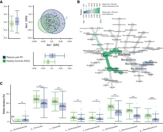 Fecal bacterial composition and differential abundance analysis of patients with PV and HCs. (A) Fecal bacterial composition did not differ between patients with PV and HCs, illustrated by PCoA based on Bray-Curtis dissimilarities. Boxplots display the distribution of samples for each group on the first 2 principal coordinates. (B) The taxonomy of the bacterial community in patients with PV and HCs is illustrated in a heat tree, where taxonomic levels are represented by junctions and the connection by branches. Green nodes and branches indicate the taxa with a higher relative abundance in HCs, and blue nodes and branches indicate the taxa with a higher relative abundance in patients with PV. Only taxa with at least 0.1% point difference in relative abundance between groups are displayed. (C) Differential abundance analysis of the gut microbiota in patients with PV compared with HCs identified by LefSe. Here, we show taxa with a linear discriminant analysis score > 0.005 and an overall median proportion > 1%. ∗P < .05, ∗∗P < .01, and ∗∗∗P < .001. c, class; f, family; g, genus; p, phylum; o, order.