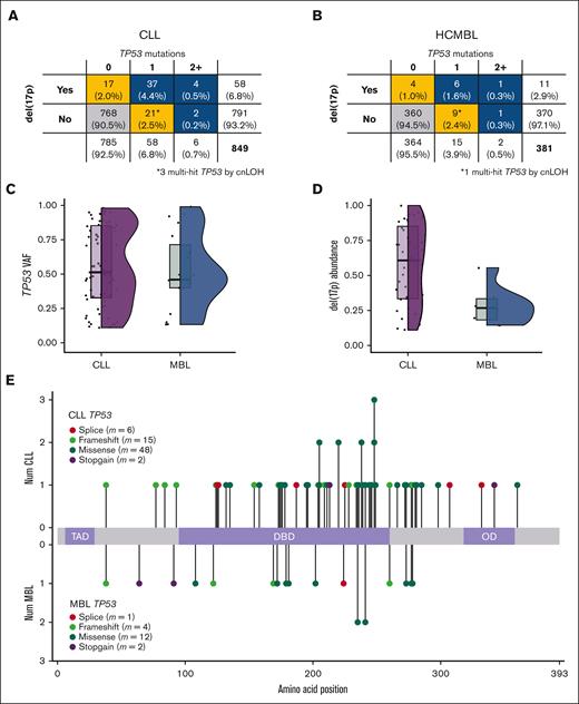 TP53 mutations and del(17p) based on CLL and HCMBL. Note that only TP53 mutations with VAF >10% were considered. Rate of mutations and del(17p) in CLL (A) and HCMBL (B) cases. Gold indicates single-hit (∗ denotes multihit based on cnLOH), and blue indicates multihit TP53. (C) VAF of TP53 mutations. Box plot (quartiles and median shown) and violin plots show distribution. (D) Percent of cells with del(17p) by FISH. (E) Location, type, and counts of TP53 mutations. Num, number.