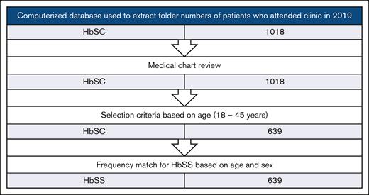 Flowchart showing the selection criteria for HbSC individuals included in this retrospective, descriptive cohort study.