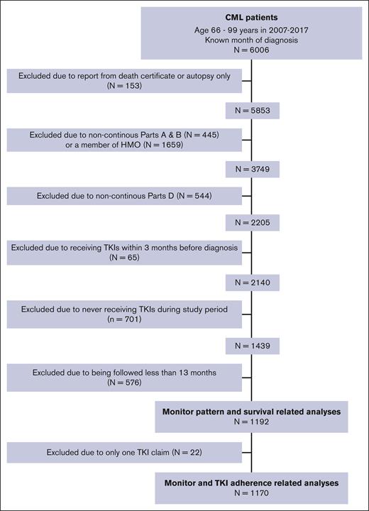 Study population and selection flowchart.