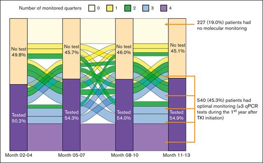 Pattern of qPCR monitoring during the first year after TKI initiation.