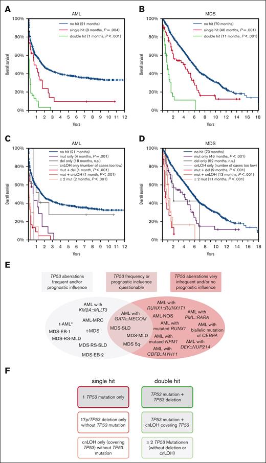 OS of patients with TP53 alteration in the total AML and MDS cohorts, and suggestion of a diagnostic algorithm. (A-B) In patients with (A) AML and (B) MDS, the OS was analyzed for patients with TP53 sh (red line), TP53 dh (green line), and without TP53alts (blue line; no hit). In (C) and (D), OS was analyzed in more detail for patients with TP53 mut-only (purple line), with TP53 del-only (dark gray line), with cnLOH-only (light gray line), with mut + del (red line), with mut + cnLOH (light red line), with ≥2 mut-only (orange line), and in patients with no hit (blue line). The P values denote the significance of the respective alteration in comparison to no hit. Clinical data were available for 717 patients with AML and 737 patients with MDS. (E,F) Recommendation of TP53 analysis for AML and MDS subgroups and suggestion of a diagnostic algorithm. (E) The analyzed entities were categorized into (1) entities in which TP53 aberrations were frequently detected and/or showed a prognostic influence (marked in gray; left), (2) cases for which the TP53 alteration frequency was very low or not detectable and/or did not show prognostic relevance (marked in red; right), and (3) entities for which the TP53 alteration frequency or prognostic influence is questionable (middle). AML without defining genetic abnormalities were summarized as AML-NOS (not otherwise specified). ∗, TP53 alterations in t-AML cases were rare in our analysis because of the low number of t-AML cases included in our cohort; however, t-AMLs are known to frequently harbor TP53 alterations, hence they were included into category 1. (F) Proposed categories for TP53 sh (left) and TP53 dh events (right). Marked with gray background are events that have impact on the prognosis in patients with AML and MDS.