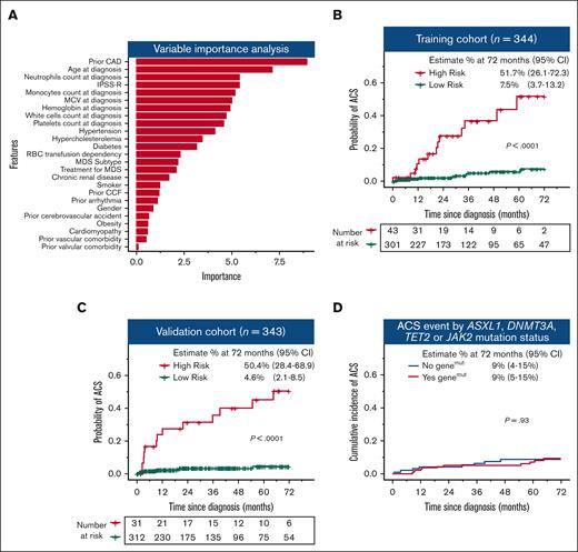 Machine learning model identified patients at high risk of ACS. (A) Variable importance analysis showing the variables from the most to the least important to influence risk of ACS. The risk of ACS was significantly higher in the high-risk group compared with that in the low-risk group in both training (B) and validation (C) cohorts. (D) Cumulative incidence of ACS is not significantly different in patients with and without ASXL1, DNMT3A, TET2, and JAK2 somatic mutations. CAD, coronary artery disease; CCF, congestive cardiac failure; MCV, mean corpuscular volume; IPSS-R, Revised International Prognostic Scoring System.