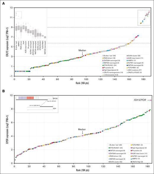 Overexpression of CRLF2 and EPOR. (A) Normalized expression (Log2 TPM+1) of CRLF2 in ascending order. Data from 184 BCP-ALLs (144 B-other and 40 classical subtypes of ALL) are shown. Symbols represent different genetic alterations. The dashed box highlights samples with CRLF2 expression three-fold higher than the median, which correspond to samples with CRLF2-rearrangements (P2RY8-CRLF2, IGH-CRLF2) or CRLF2 p.F232C. (B) Normalized rank-ordered expression (Log2 TPM+1) of EPOR. The “outlier” case corresponds to the single IGH-EPOR found by fusion transcript analysis. AJ2E, group of ABL-, JAK2-, and EPOR-fusion cases.